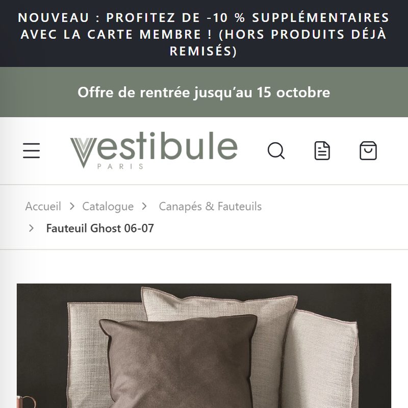 Vestibule Paris sur mobile, page d'accueil